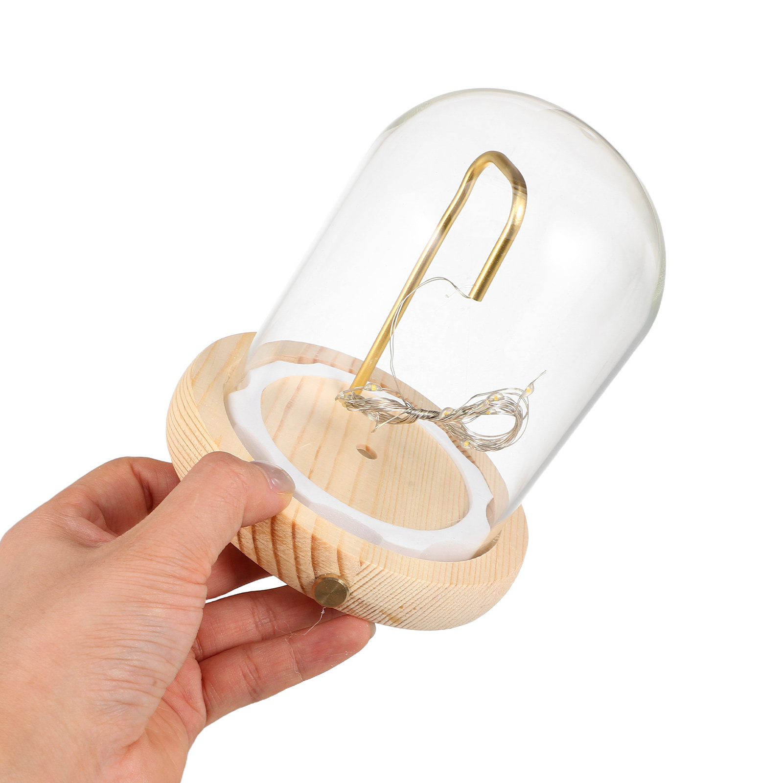 Plastic Dome Clear - قبة عرض زجاجية مع قاعدة خشبية