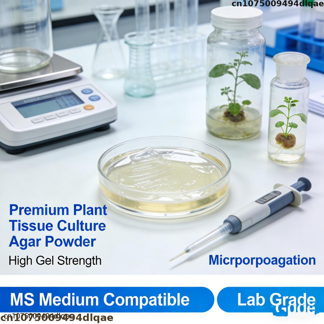 مسحوق الأجار لزراعة أنسجة النب - مراجعة Agar Tissue Culture وسعره