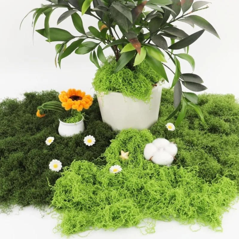 طحلب أخضر اصطناعي للحرف اليدوي - مراجعة Sphagnum Moss Dry وسعره