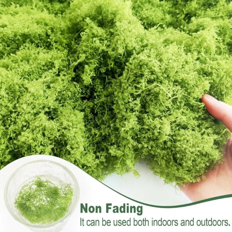 طحلب أخضر اصطناعي للحرف اليدوي - مراجعة Sphagnum Moss Dry وسعره