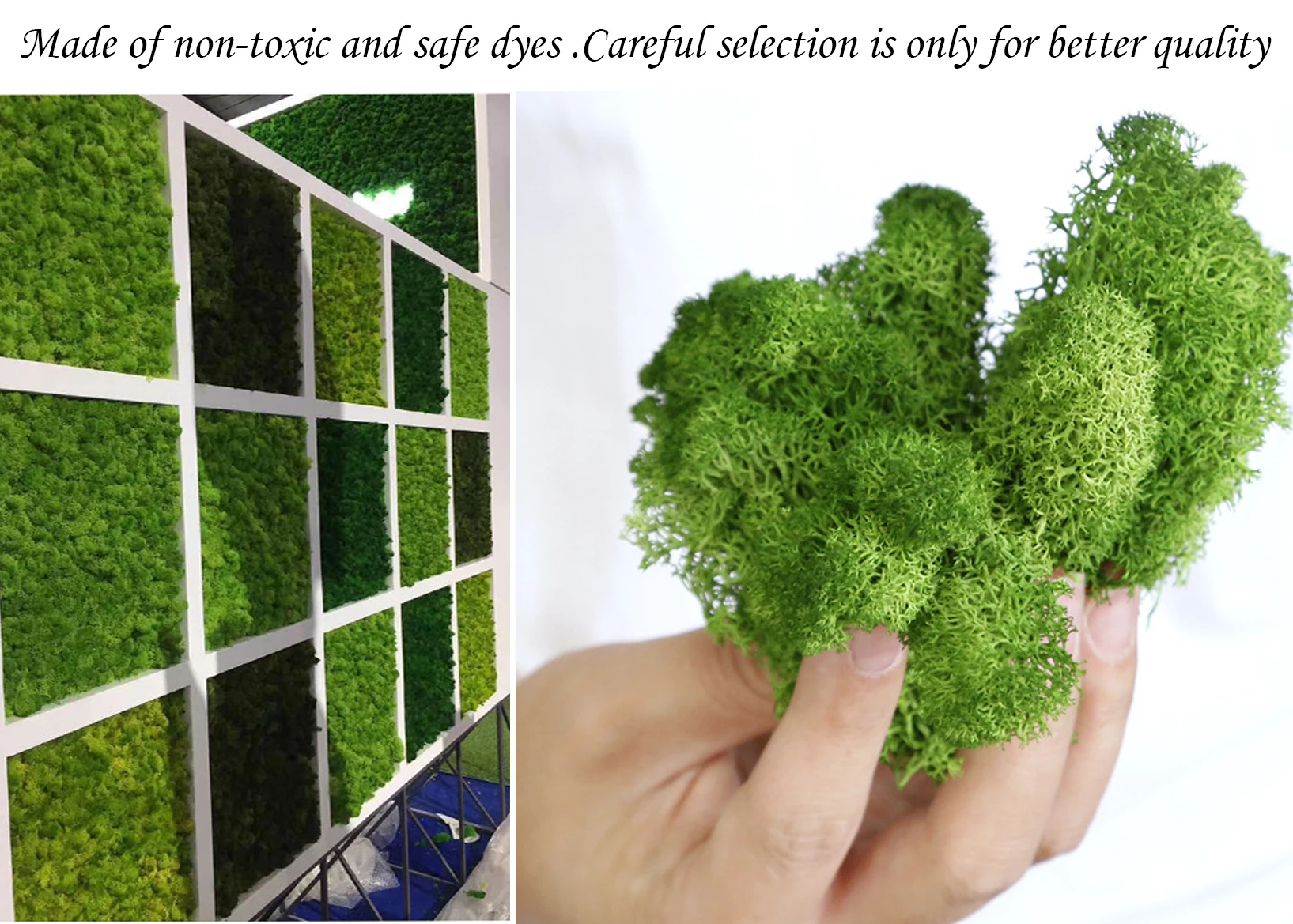 طحلب اصطناعي للنباتات بوعاء طح - مراجعة Sphagnum Moss Dry وسعره